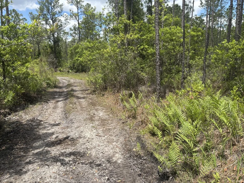 Unit for sale at 0 Holopaw Groves Road, St Cloud, FL 34772