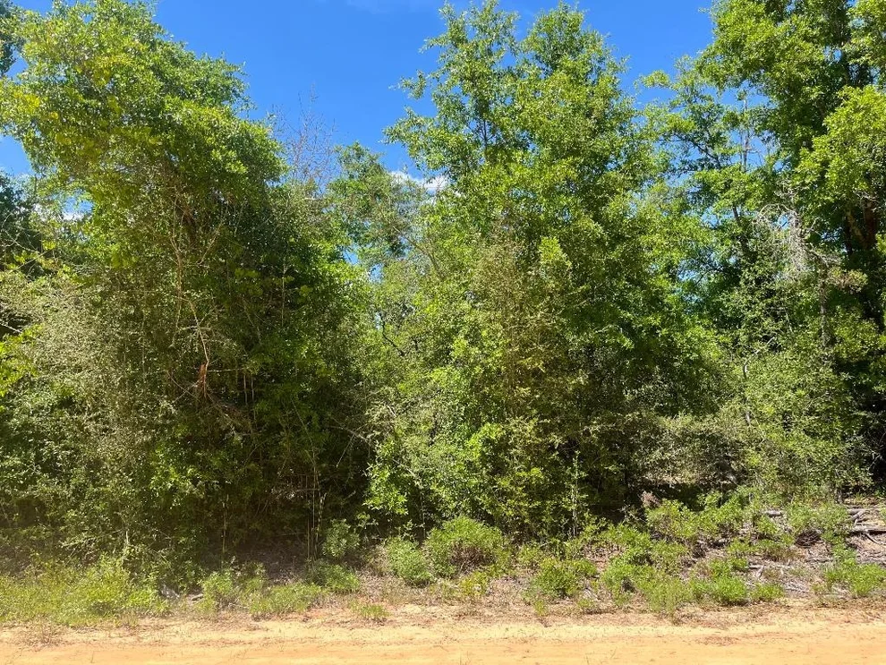 Unit for sale at 0 Hocking Street, Alford, FL 32420