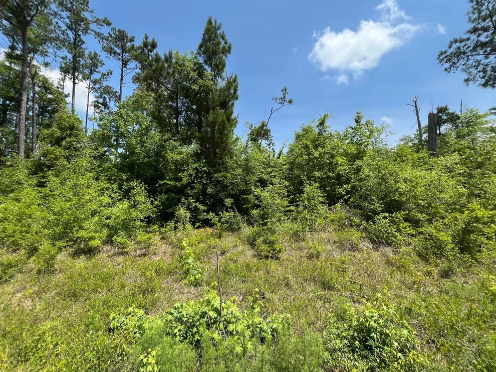 Unit for sale at Tbd Grand Quiviera Circle, Alford, FL 32420