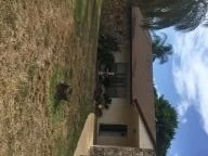 Unit for sale at 7370 Willow Springs Circle S, Boynton Beach, FL 33436