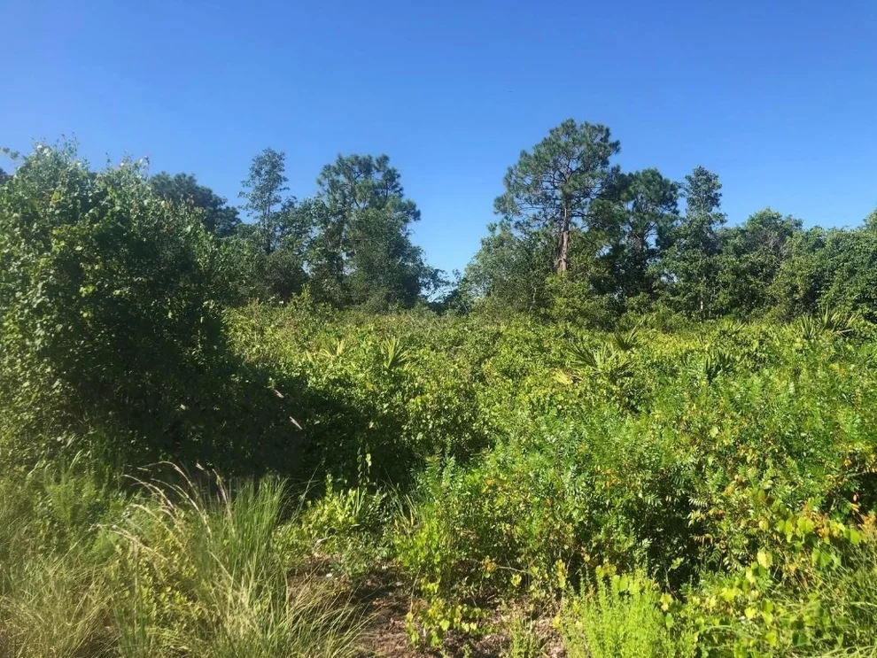 Unit for sale at 153 Disney Boulevard, Avon Park, FL 33825