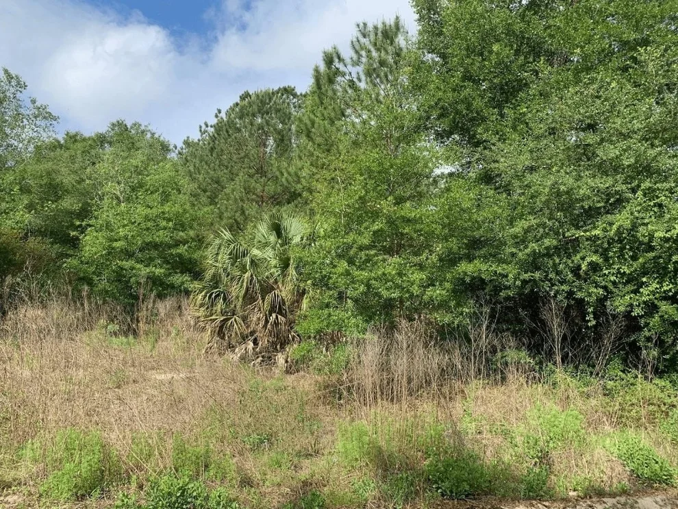 Unit for sale at 0 Douglas Drive, Interlachen, FL 32148