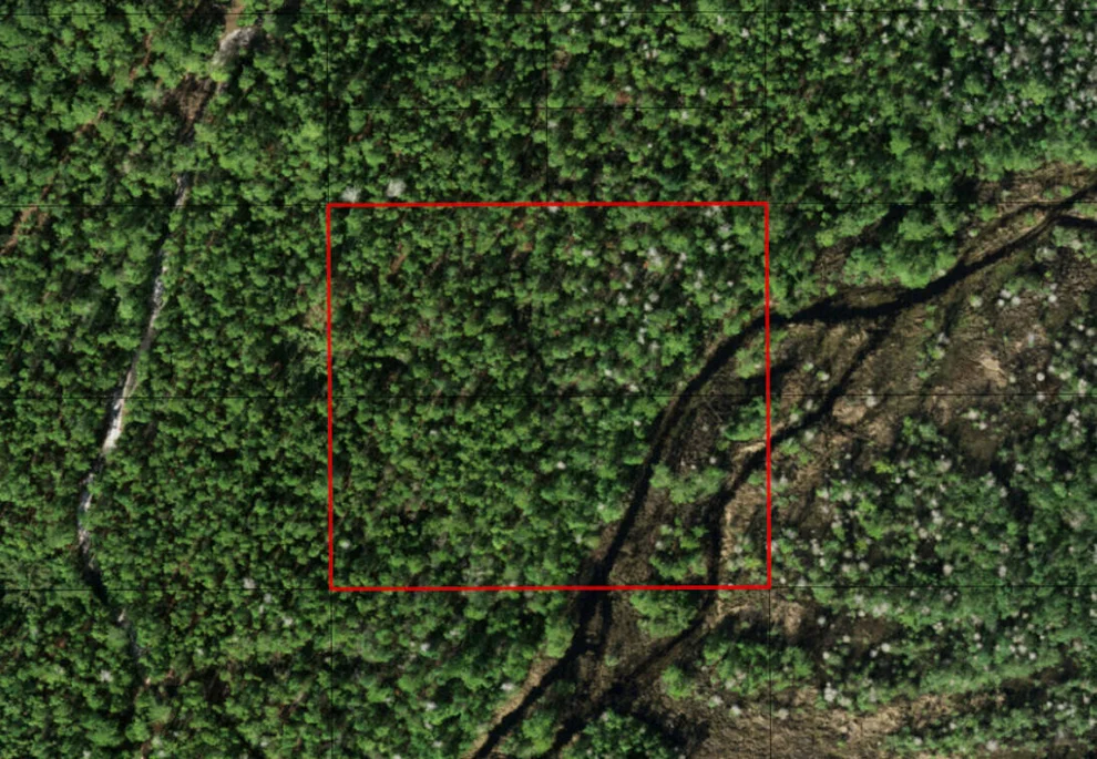 Unit for sale at 0 Holopaw Groves Road, St Cloud, FL 34772