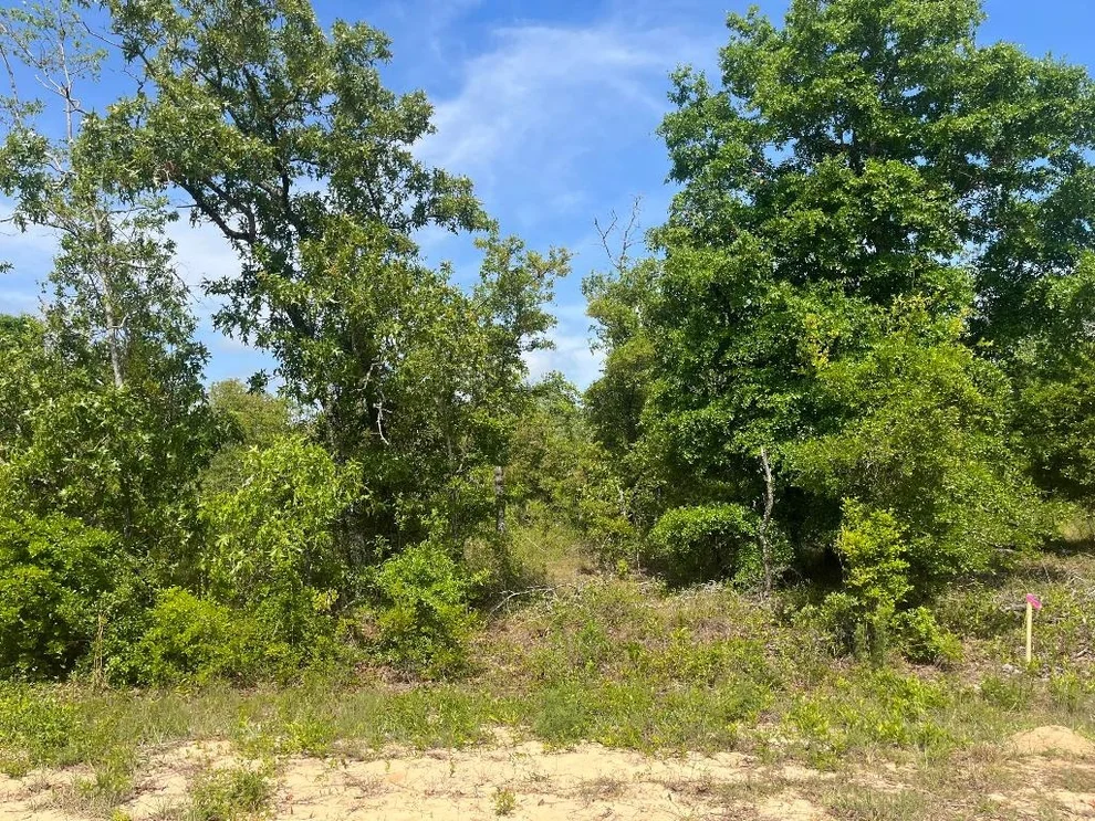 Unit for sale at Tbd Rome Avenue, Alford, FL 32420
