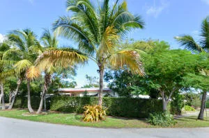 Unit for sale at 1400 NE 4th Avenue, Boca Raton, FL 33432