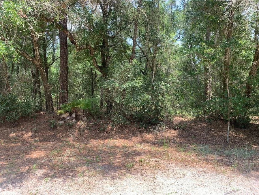 Unit for sale at 112 New Jersey Street, Satsuma, FL 32189