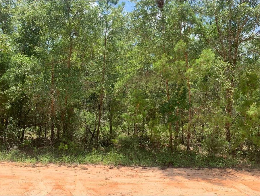 Unit for sale at 115 Florida Boulevard, Satsuma, FL 32189