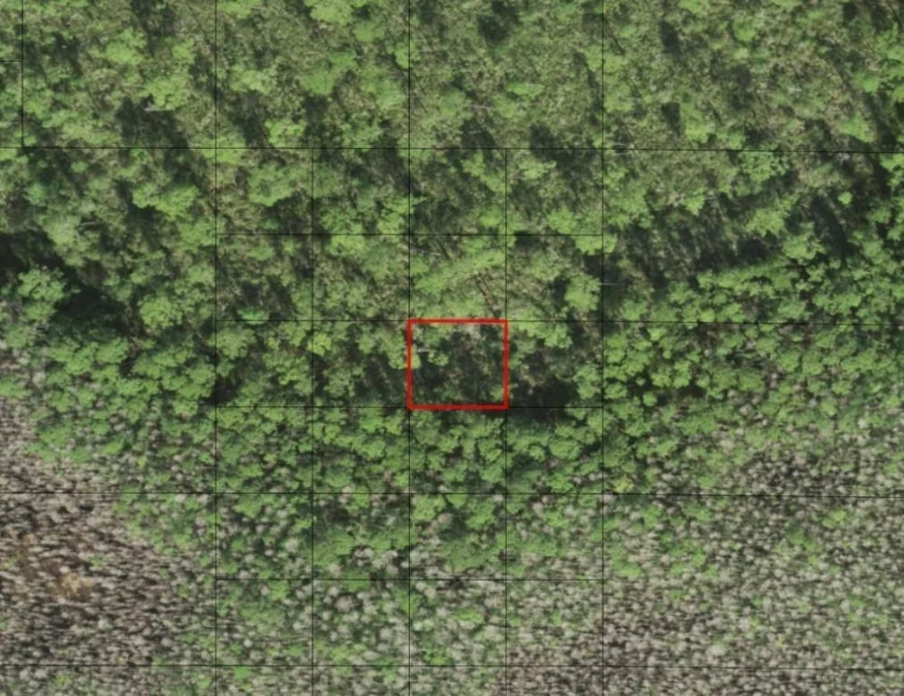 Unit for sale at 0 Holopaw Groves Road, St Cloud, FL 34772