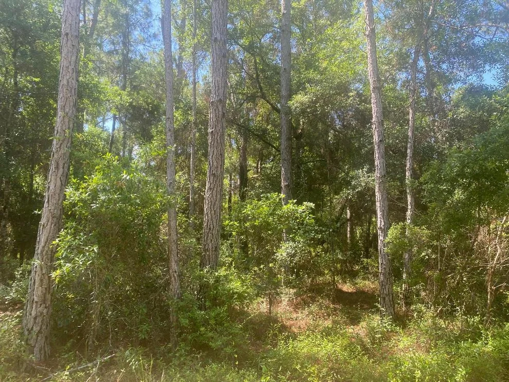 Unit for sale at Tbd NE 155 Lane, Fort McCoy, FL 32134