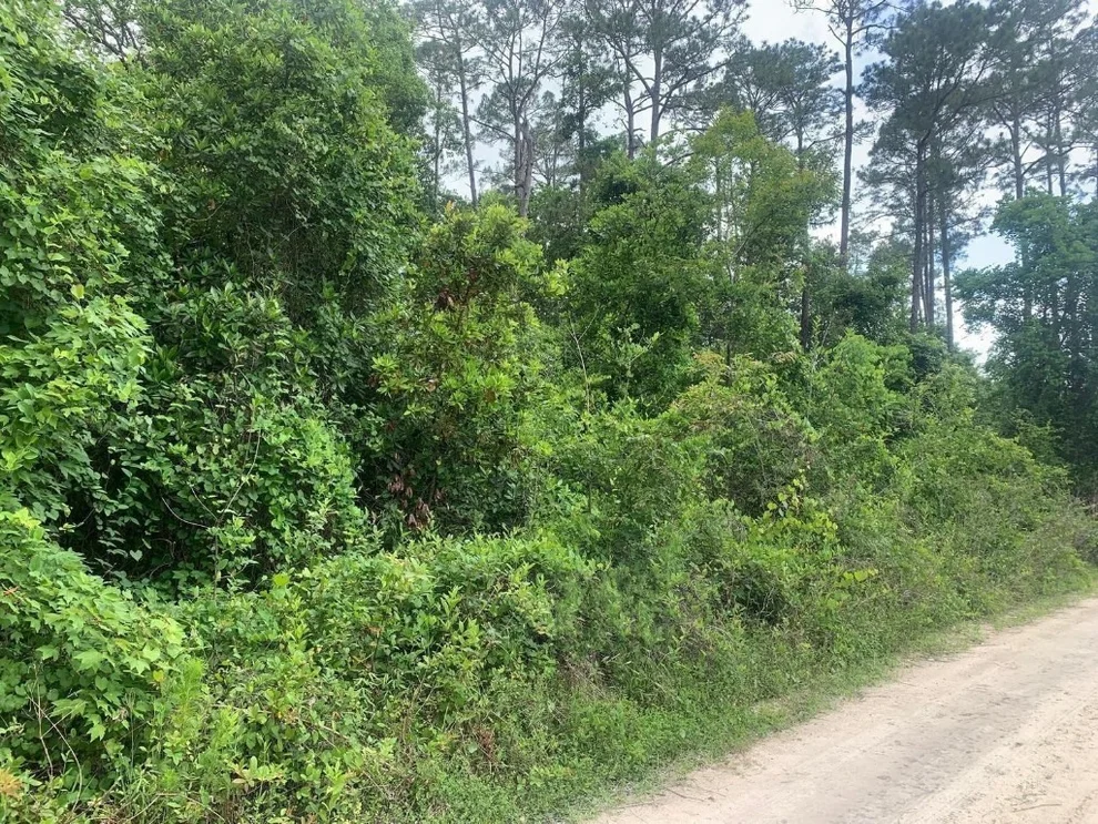 Unit for sale at 0 Coot Drive, Satsuma, FL 32189