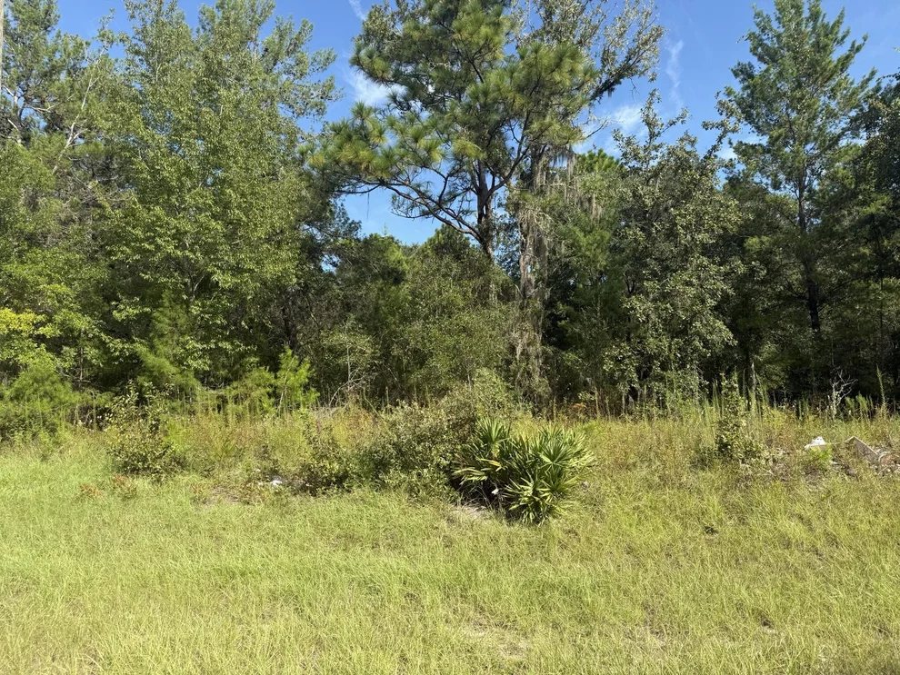Unit for sale at Tbd 79th Terrace Road, Dunnellon, FL 34432