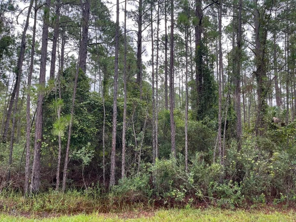 Unit for sale at 117 Mosswood Street, Georgetown, FL 32139
