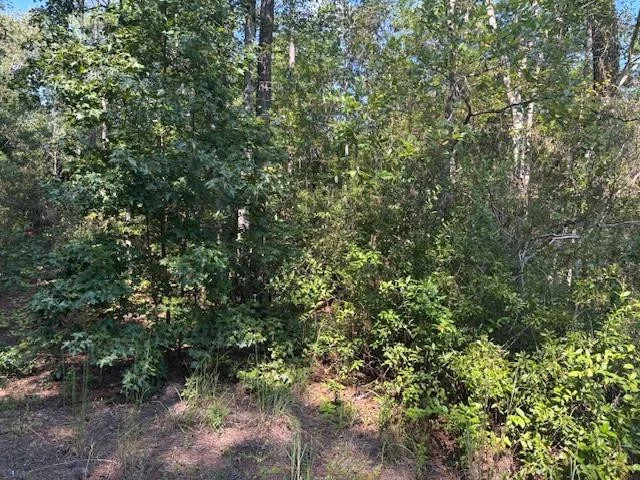 Unit for sale at 0 SE 8th Avenue, Palatka, FL 32177