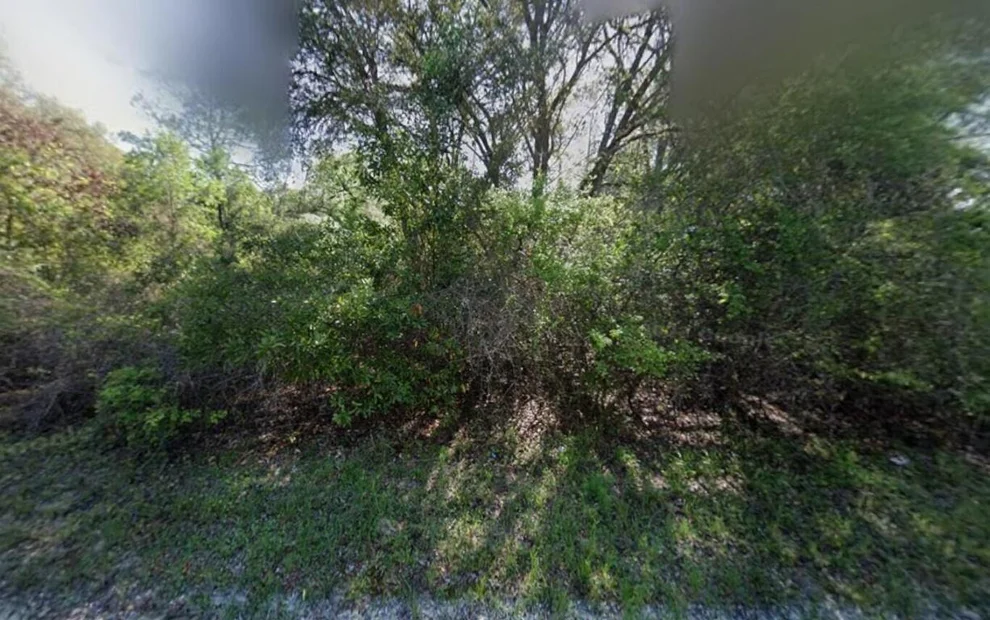 Unit for sale at Tbd NE 799th Street, Old Town, FL 32680