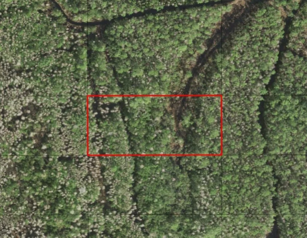Unit for sale at 0 Holopaw Groves Road, St Cloud, FL 34772