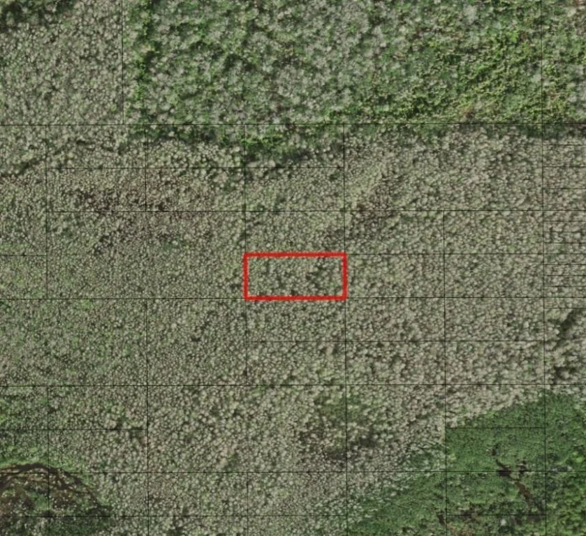 Unit for sale at 0 Holopaw Groves Road, St Cloud, FL 34772