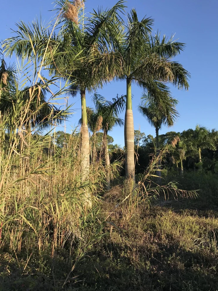 Unit for sale at . 59th Court, Royal Palm Beach, FL 33411