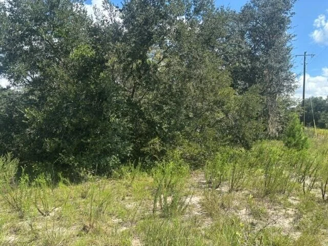 Unit for sale at 0 Shirley Street, Interlachen, FL 32148