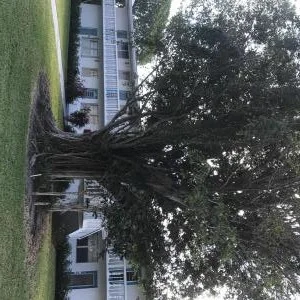 Unit for sale at 293 Durham H, Deerfield Beach, FL 33442