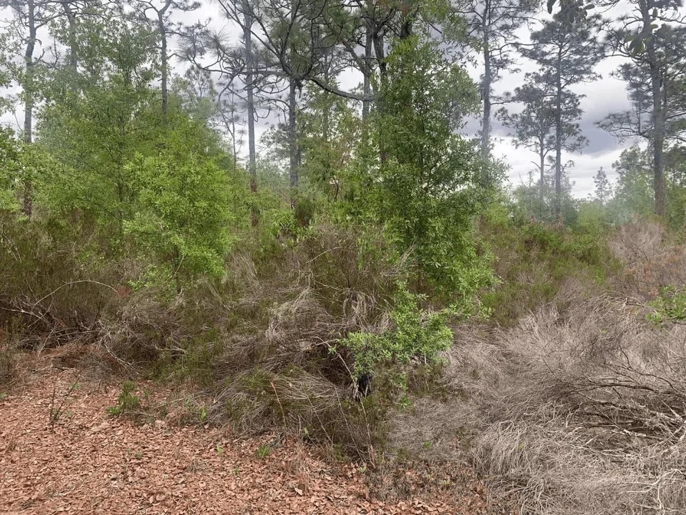 Unit for sale at 0 Somerset Avenue, Interlachen, FL 32148