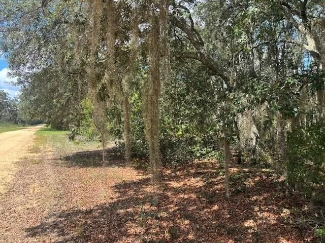 Unit for sale at 0 Hurley Street, Interlachen, FL 32148