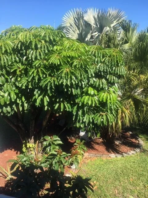 Unit for sale at 411 Sheffield Q, West Palm Beach, FL 33417