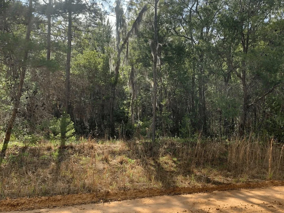 Unit for sale at 0 Shappell Avenue, Interlachen, FL 32148