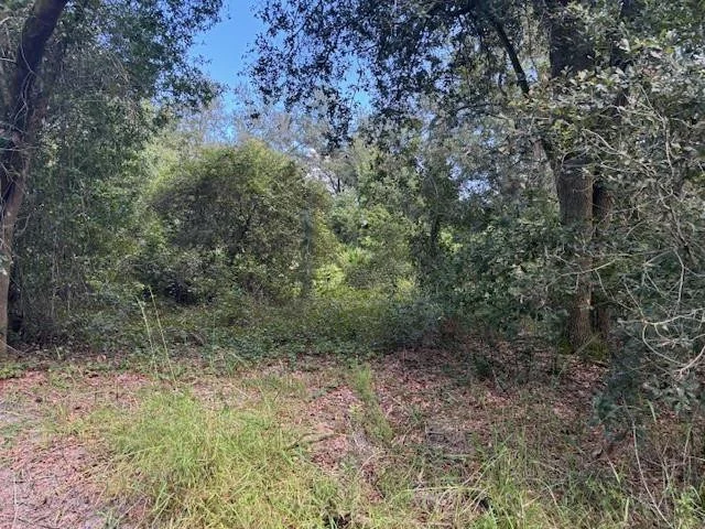 Unit for sale at 0 County Rd 54, Kathleen, FL 33849