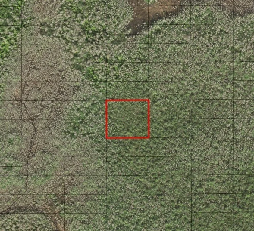 Unit for sale at 0 Holopaw Groves Road, St Cloud, FL 34772