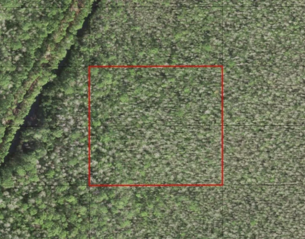 Unit for sale at 0 Holopaw Groves Road, St Cloud, FL 34772