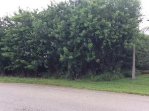 Unit for sale at 1731 SW Cascade Road, Port St Lucie, FL 34953