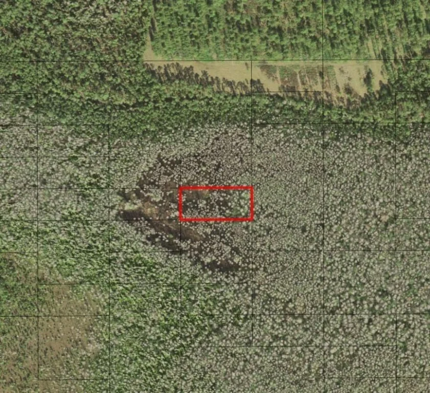Unit for sale at 0 Holopaw Groves Road, St Cloud, FL 34772