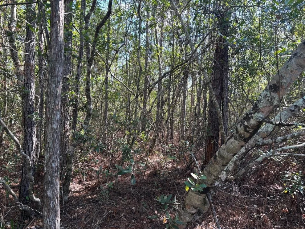 Unit for sale at 0 Holopaw Groves Road, St Cloud, FL 34772