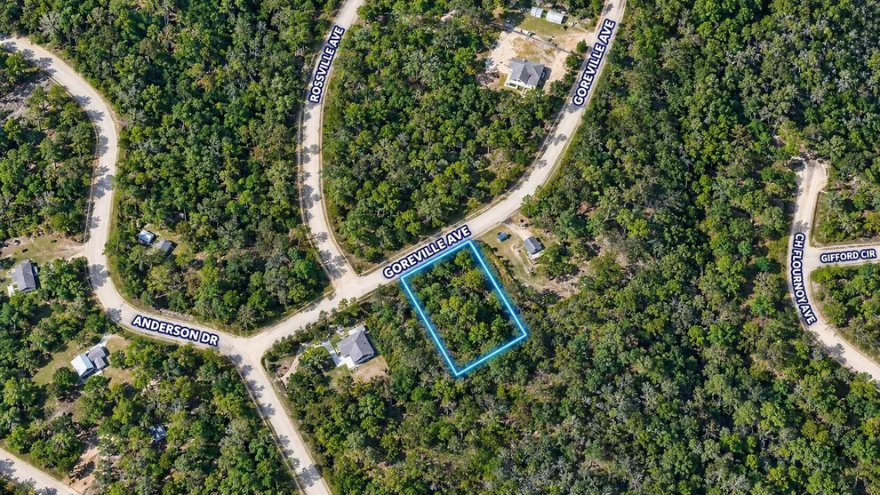 Unit for sale at Tbd Goreville, Alford, FL 32420