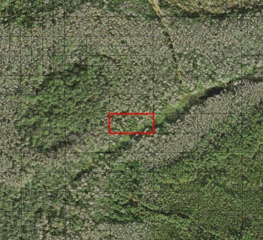 Unit for sale at 0 Holopaw Groves Road, St Cloud, FL 34772