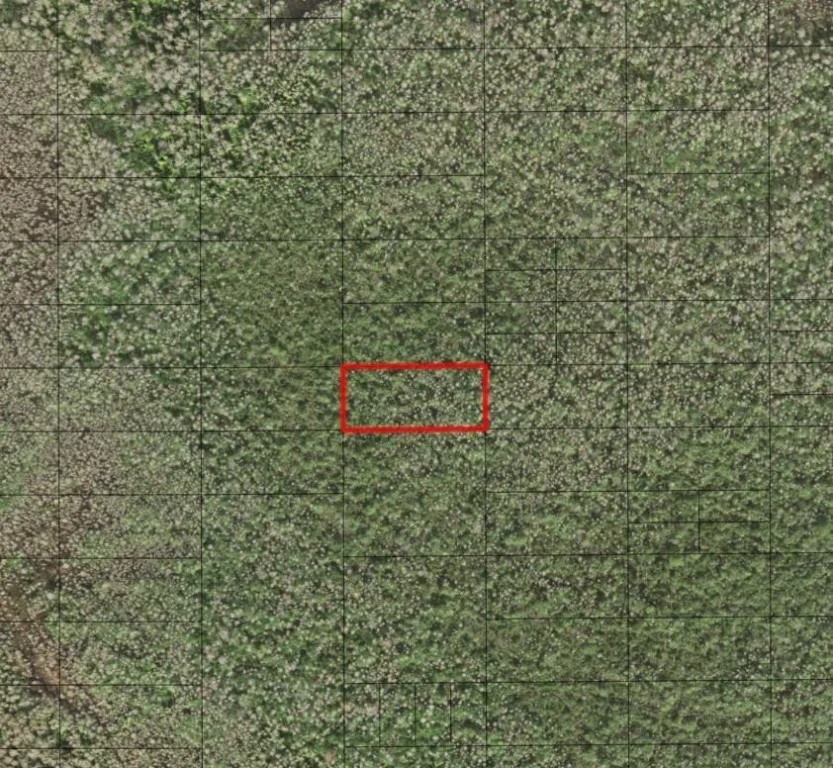 Unit for sale at 0 Holopaw Groves Road, St Cloud, FL 34772