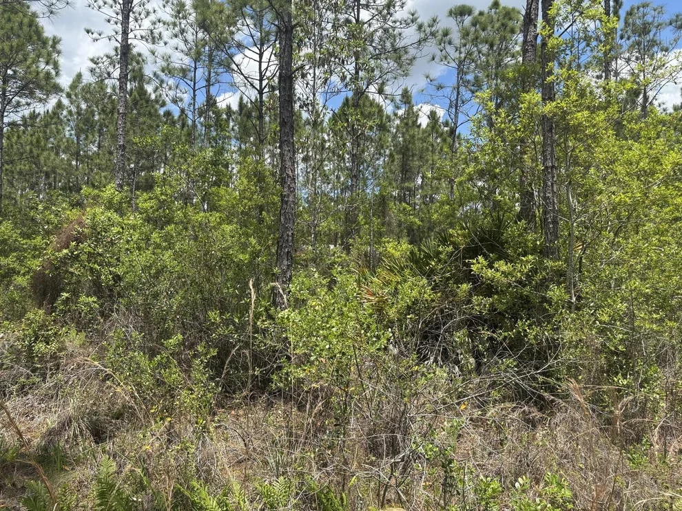 Unit for sale at 0 Holopaw Groves Road, St Cloud, FL 34772