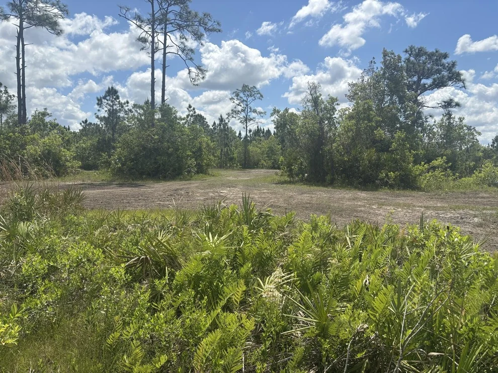 Unit for sale at 0 Holopaw Groves Road, St Cloud, FL 34772