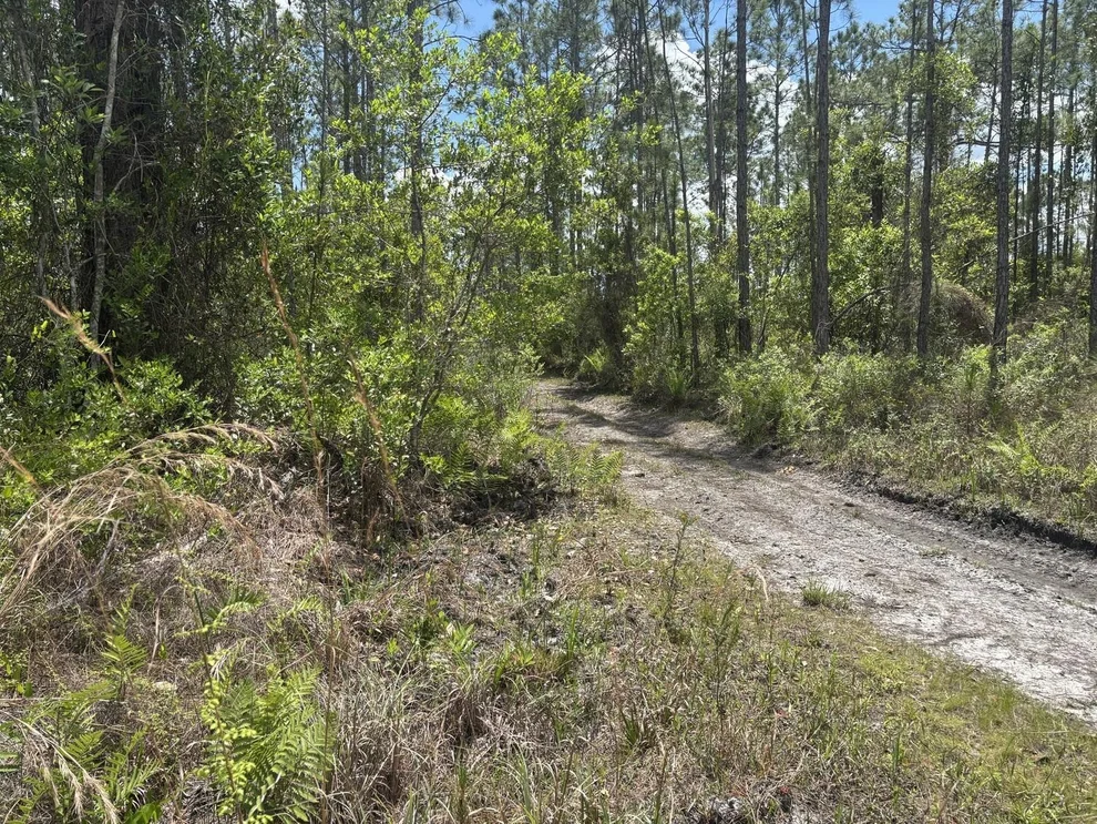 Unit for sale at 0 Holopaw Groves Road, St Cloud, FL 34772