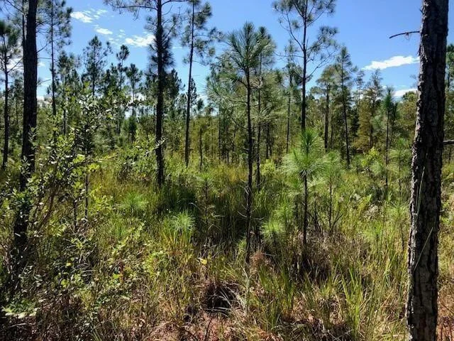 Unit for sale at 0 Old Grade Road, Polk City, FL 33868