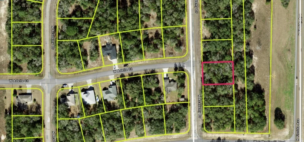 Unit for sale at 11034 N Academy Drive, Citrus Springs, FL 34434