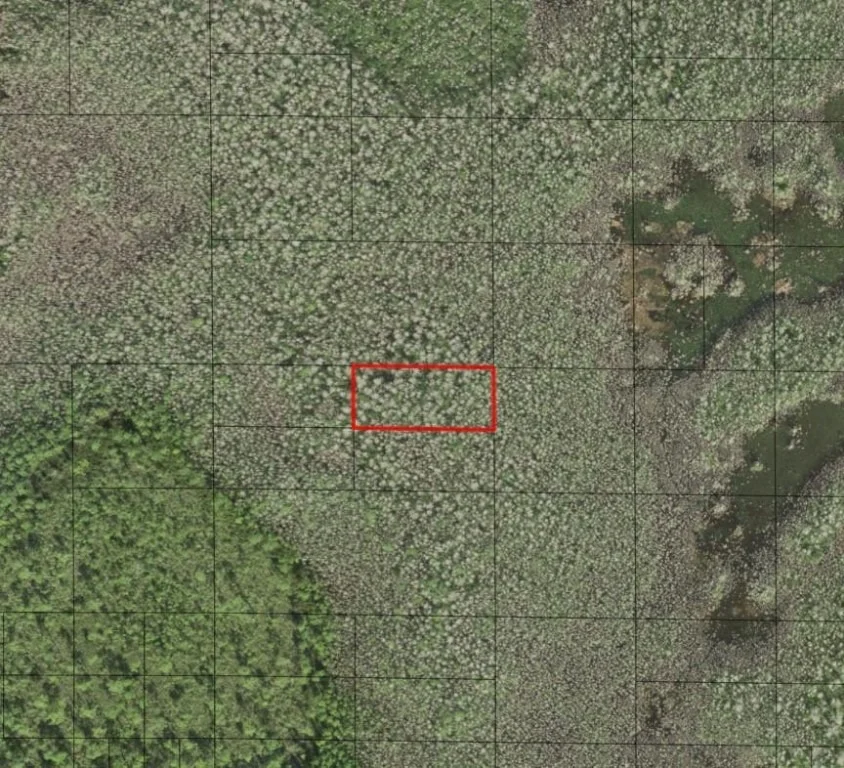 Unit for sale at 0 Holopaw Groves Road, St Cloud, FL 34772
