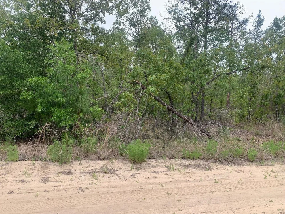Unit for sale at 0 May Lane, Interlachen, FL 32148