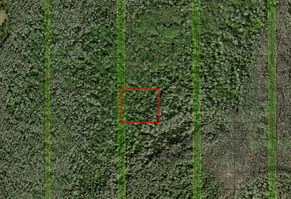 Unit for sale at 0 Holopaw Groves Road, St Cloud, FL 34772