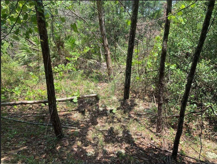 Unit for sale at 213 Kansas Street, Satsuma, FL 32189