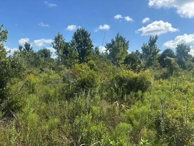 Unit for sale at 0 NW 312th Street, Okeechobee, FL 34972