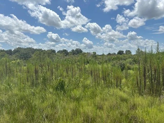 Unit for sale at 0 NW 314th Street, Okeechobee, FL 34972