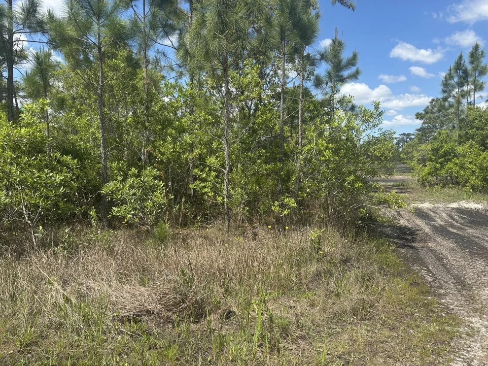 Unit for sale at 0 Holopaw Groves Road, St Cloud, FL 34772