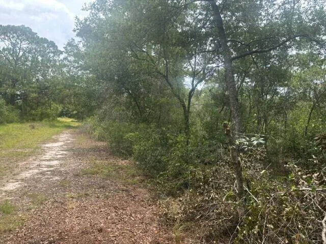 Unit for sale at 2225 W WELLS Road, Avon Park, FL 33825