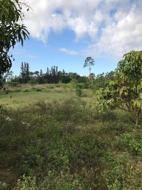 Unit for sale at Lot Tripp Road, Loxahatchee Groves, FL 33470